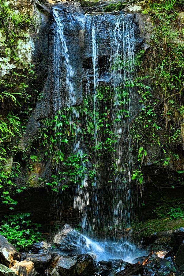 Camelot Boutique Accommodation Mount Tamborine Exterior foto