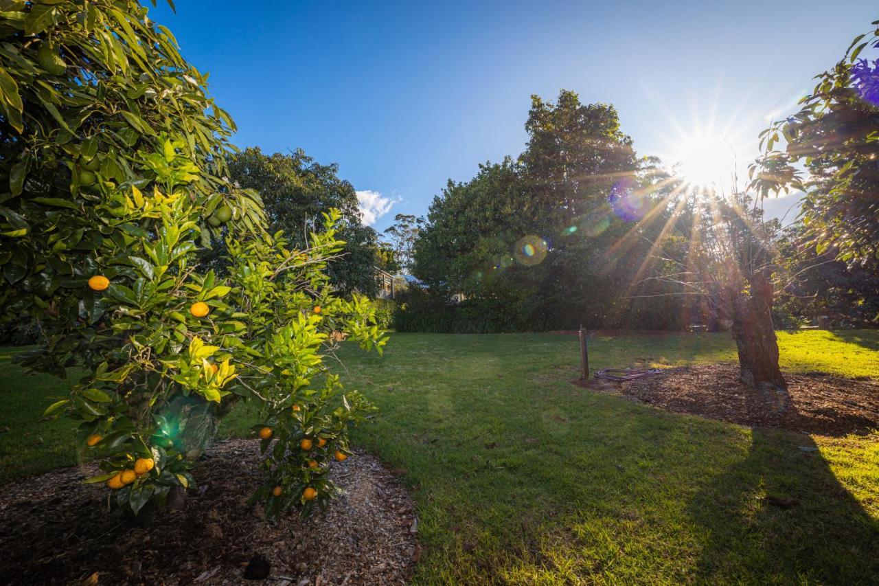 Camelot Boutique Accommodation Mount Tamborine Exterior foto