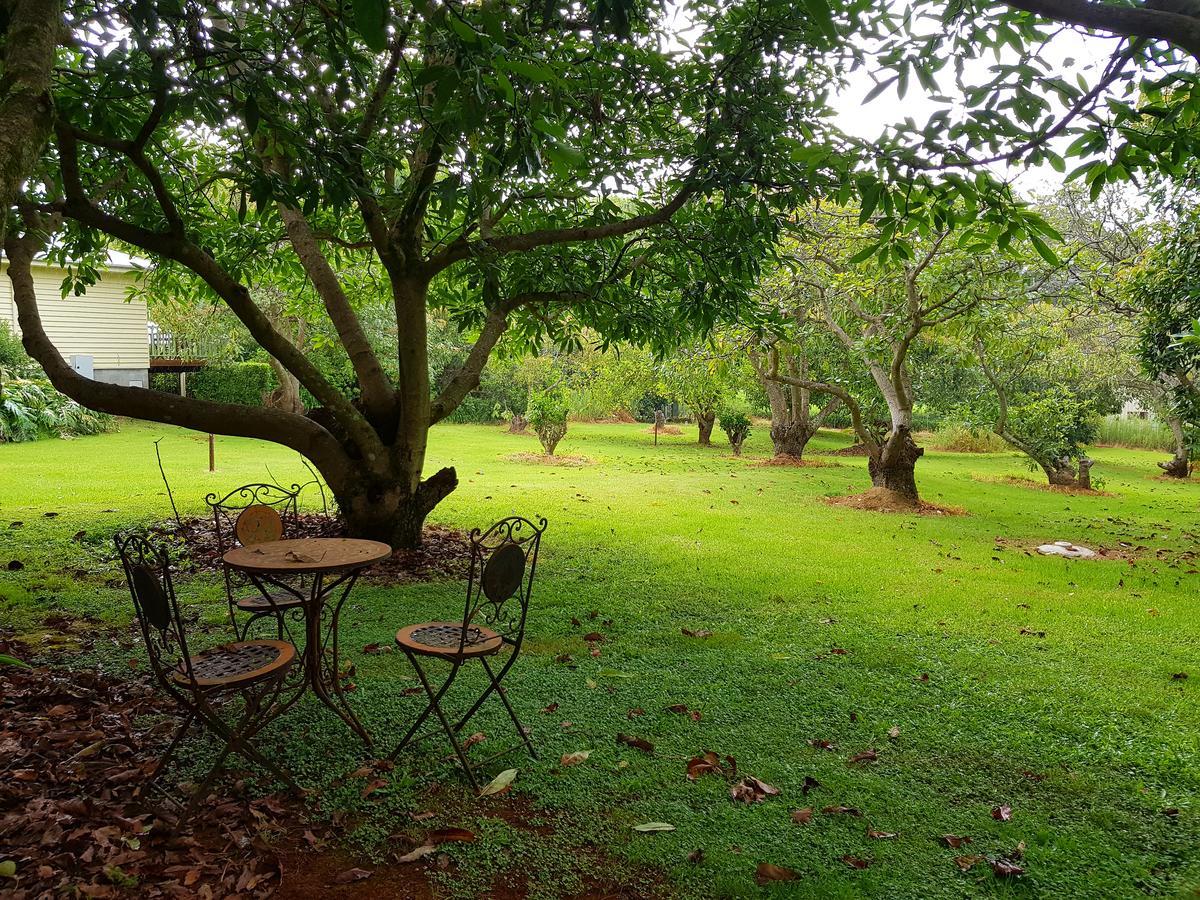 Camelot Boutique Accommodation Mount Tamborine Exterior foto