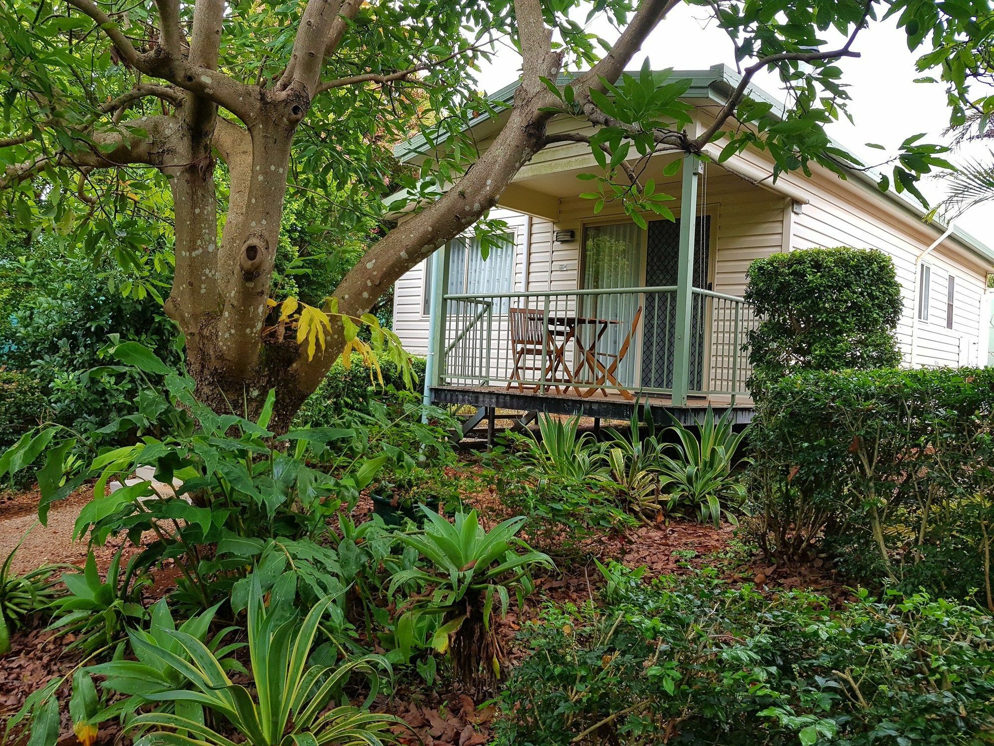 Camelot Boutique Accommodation Mount Tamborine Exterior foto